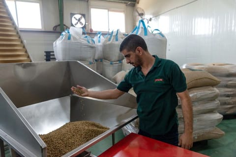 Jeries Nakhleh, export manager at El Nakhleh Coffee, in Shfaram, Israel  on September 30, 2020. 