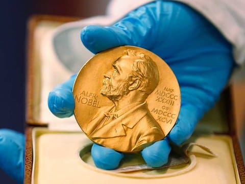 Swedish philanthropist Alfred Nobel created the prizes in his 1895 will.