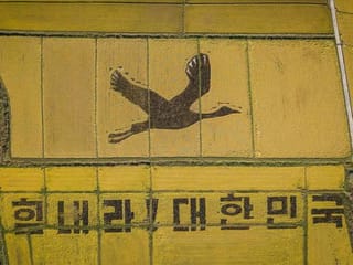 Giant rice crane urges South Koreans to 'Cheer Up!'