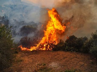 News in pictures: Forest fires rage in Syria and Lebanon, Top Indian politician cremated, Modi to launch rural property card, Messi to stay with Barca? EU commissioner is COVID positive…