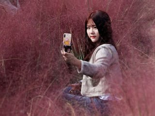 South Korea: Tourists take gorgeous selfies in field of vibrant pink grass