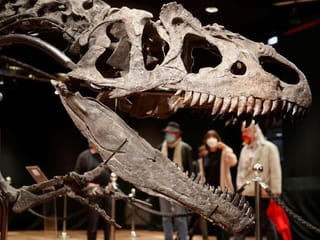 Remains of the day: Dinosaur skeleton fetches $3.52 million 