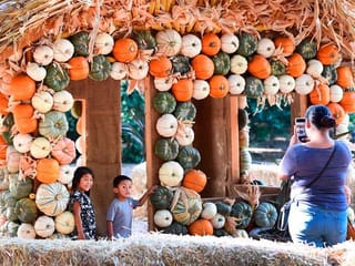 Pumpkin-filled fun at Descanso Gardens Halloween festival