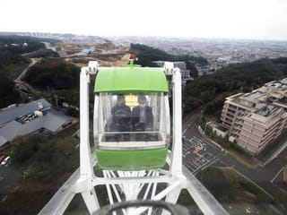 By the pool or ferris wheel Japanese theme park becomes new office for teleworkers 