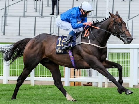 Godolphin's Dark Vision