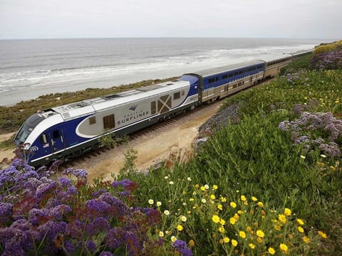 An Amtrak Pacific Surfliner train heads south near 6th Street in Del Mar on May 11, 2020. 