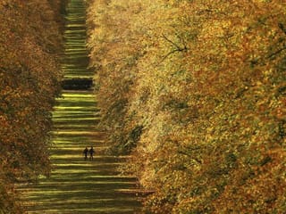 Photos: Mother Nature puts on an autumn show