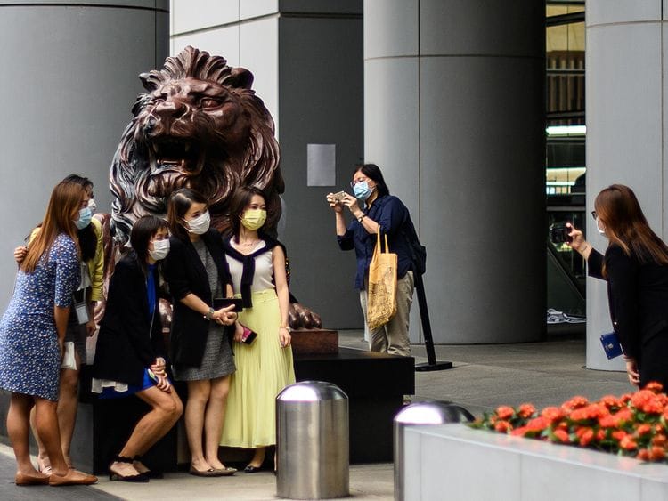 HSBC LIONS