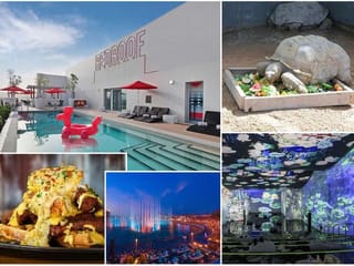 UAE things to do: 10 exciting things to look forward to this weekend