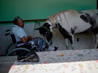 Rescued animals bring relief from isolation to nursing home residents