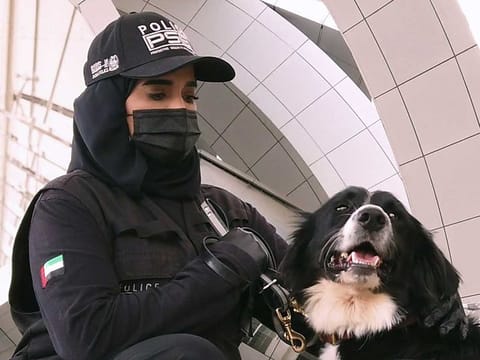 Police sniffer dogs are now being used to detect suspected cases of COVID-19 at Sharjah and Abu Dhabi International Airport.