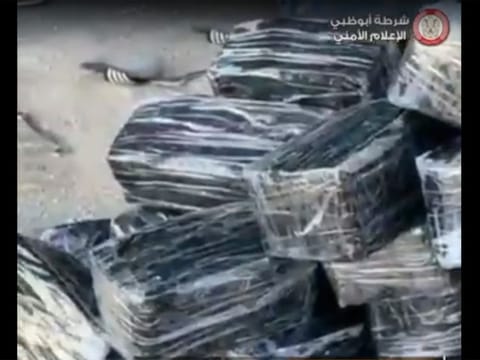 The seized drug consignments