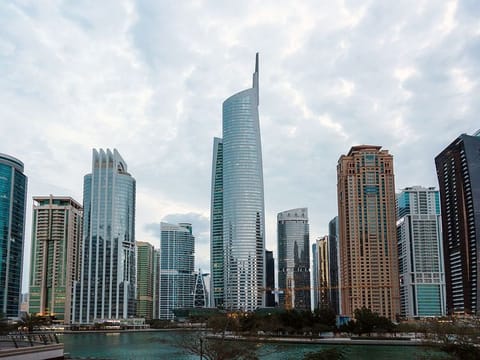 New entrants into DMCC are from Europe and South America, while India and China continuing to provide steady numbers. 