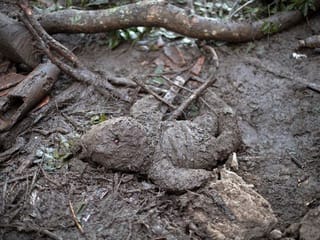 At least 7 killed in landslide in El Salvador, over 30 missing 