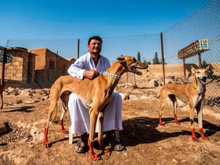 Syrian village trains racing dogs despite war and pandemic