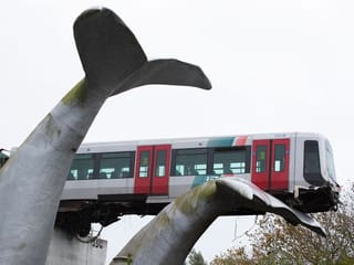 Photos: Whale sculpture saves runaway Dutch train