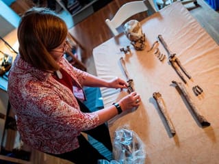 Ancient skeleton find in Germany offers clues on prehistoric era