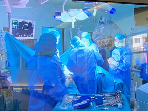 Innovative technique uses a single, intricately designed mesh structure to close the aneurysm more effectively.