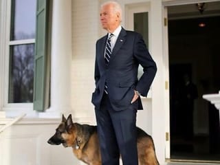 US Election: From Joe Biden’s dogs to Bill Clinton’s cat, meet the White House pets