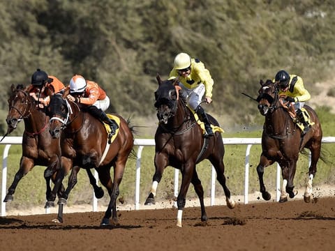 Jebel Ali Racecourse will be primed for a seven-race card on Friday.