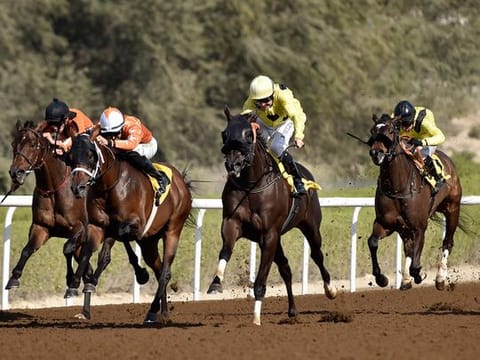 Jebel Ali Racecourse will be primed for a seven-race card on Friday.