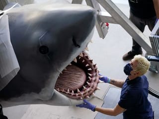 You're gonna need a bigger museum: 'Jaws' shark installed