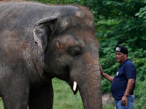 In this Sept. 4, 2020, file photo, Dr. Amir Khalil, a veterinary doctor from the international animal welfare organization "Four Paws" comforts an elephant named "Kaavan" during his examination at the Maragzar Zoo in Islamabad, Pakistan. 