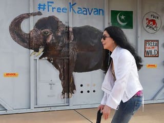 Photos: 'World's loneliest elephant' Kaavan lands in Cambodia, greeted by Cher
