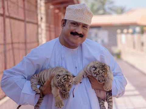 The baby tigers with their owner.