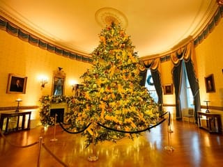 In pictures: 2020 White House Christmas decorations