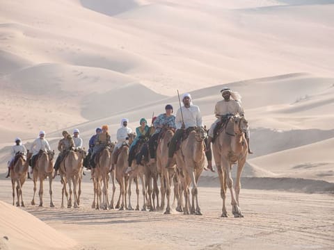 Camel caravan which started from Empty quarter.