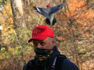 Birding is socially distanced New York's hottest hobby