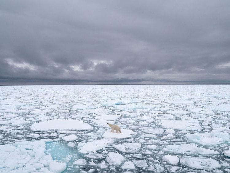 Svalbard, Norway, in 2018. 