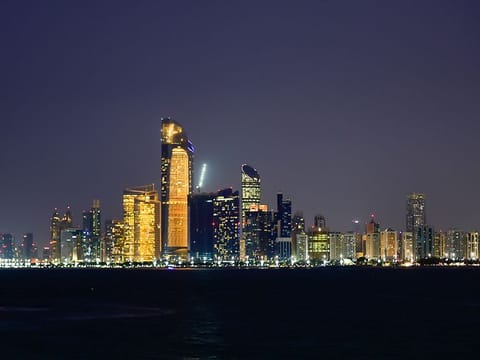 Abu Dhabi hospitality sector has seen quite the consolidation, with National Corporation for Tourism and Hotels getting 8 hotels in its portfolio. 