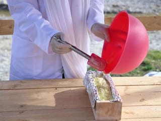 Udderly healthy: donkey milk a hit in Albania
