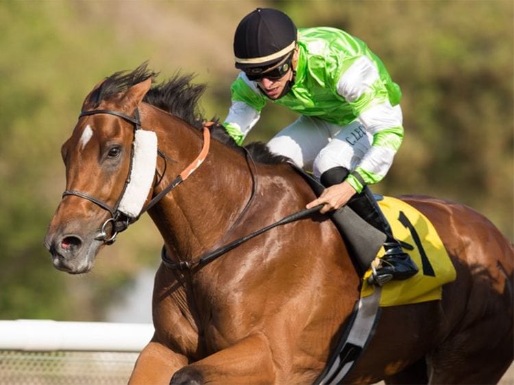 Clement Lecoeuvre and Blue Sovereign win the Shadwell Condition Stakes, the feature race of the afternoon at Jebel Ali Racecourse on Friday.