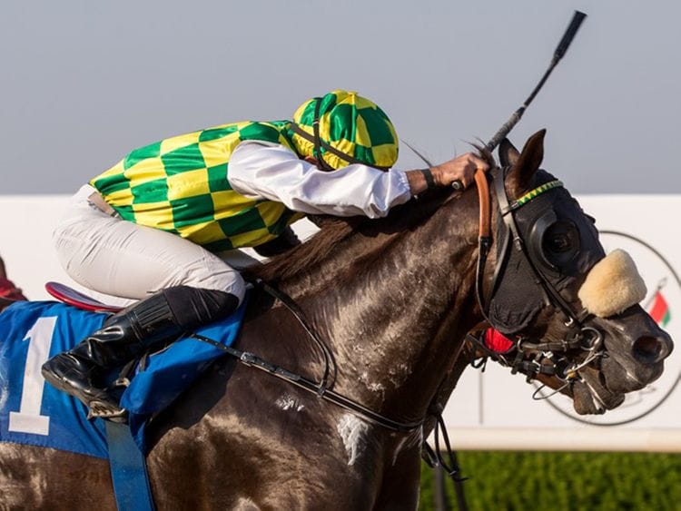 Jawaal, ridden by Fernando Jara, wins the Sheikh Mansoor Bin Zayed Al Nahyan Cup at Sharjah Racecourse