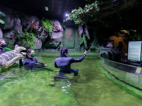 The National Aquarium also offers various educational experiences for schoolchildren.
