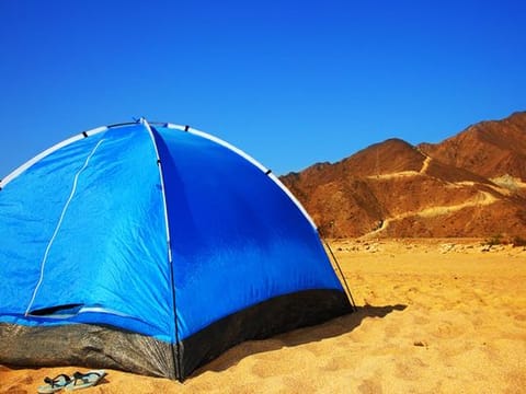 New Year long weekend in UAE: 13 free camping spots across Dubai, Abu Dhabi, RAK, UAQ, Sharjah and Fujairah