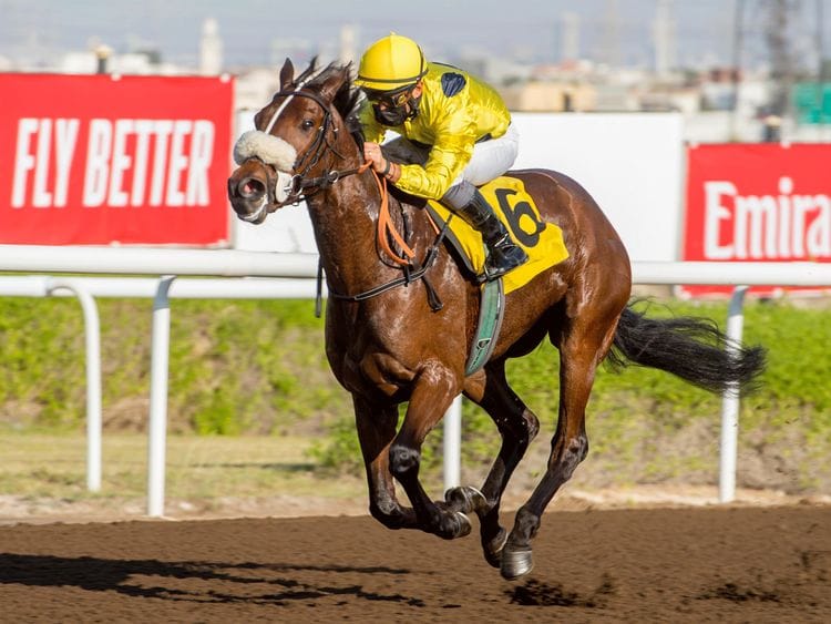 Horseracing - Fernando Jara