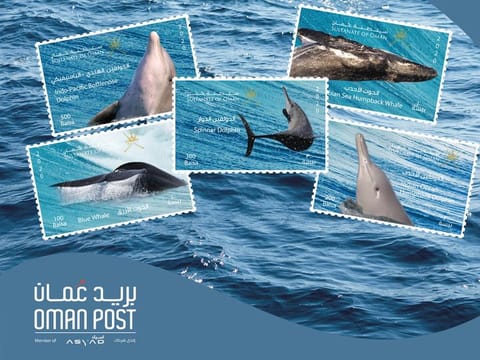 Oman Post issued a new series of stamps that highlights five of the endangered local species of dolphins and whales in the country. 