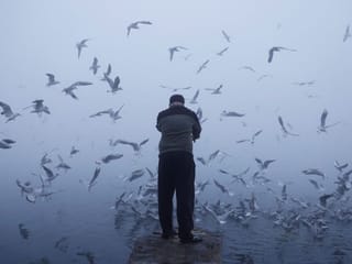 Photos: Dense fog engulfs Delhi-NCR, throws life out of gear
