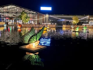 Photos: Gulf News readers share pictures of Love Lake in Al Qudra and Al Khawaneej park in Dubai 