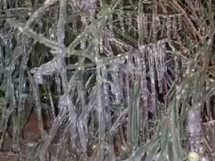 Icicles in Raknah area, Abu Dhabi 