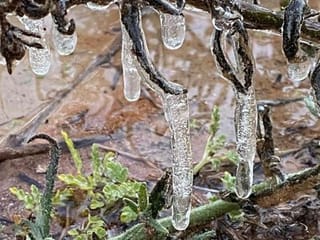 Look: Icicles in Al Ain, Abu Dhabi, temperature dips across Dubai, Sharjah and other parts of UAE
