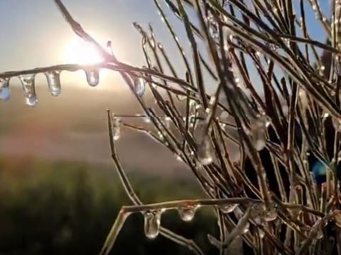 Temperature falls to -1.9°C in Raknah, Al Ain in Abu Dhabi