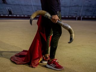 Photos: Boys learn Spain's deadly art of the bullfight