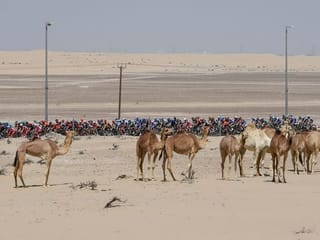 UAE Tour 2021: Stage-by-stage route maps for biggest cycling event