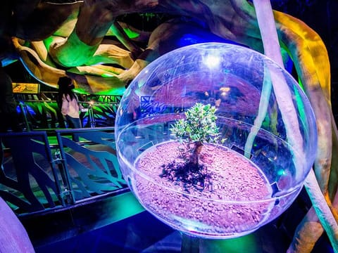 A UAE-wide student competition called NextGen10 has been launched to showcase creative solutions for challenges expected in the future.  A showcase finale will be held at Expo 2020 Dubai. Photo pf Expo 2020 site for illustrative purpose only.