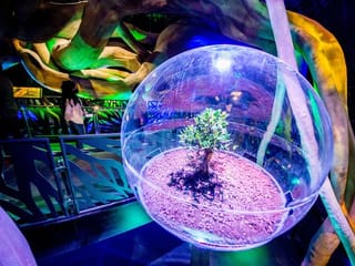 With Expo 2020 Dubai, UAE ready to welcome the world